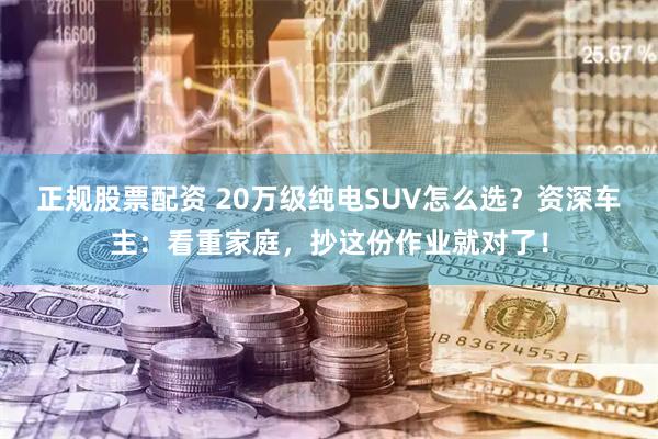 正规股票配资 20万级纯电SUV怎么选？资深车主：看重家庭，抄这份作业就对了！