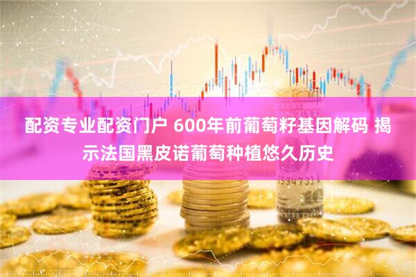 配资专业配资门户 600年前葡萄籽基因解码 揭示法国黑皮诺葡萄种植悠久历史