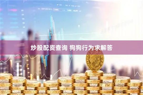 炒股配资查询 狗狗行为求解答